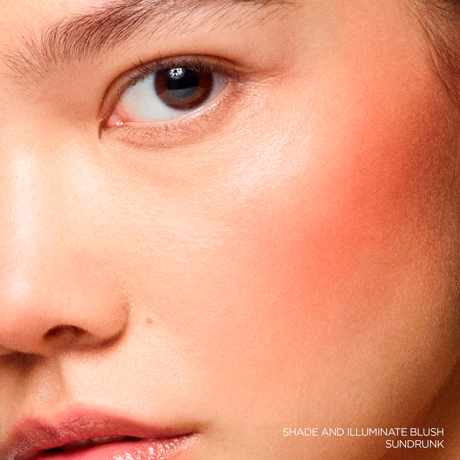 SHADE AND ILLUMINATE BLUSH (DUO DE RUBOR EN POLVO)